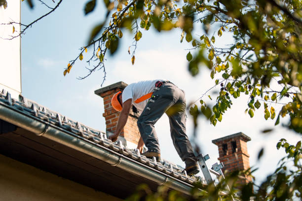 Best Roof Insulation Installation  in Ocean Pointe, HI