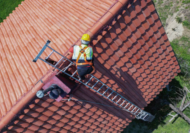 Best Skylight Installation and Repair  in Ocean Pointe, HI